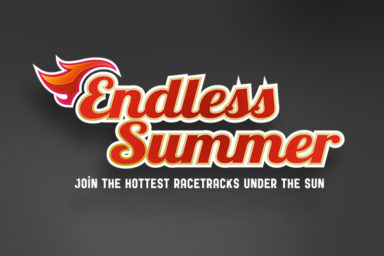 Gedlich Endless Summer Logo